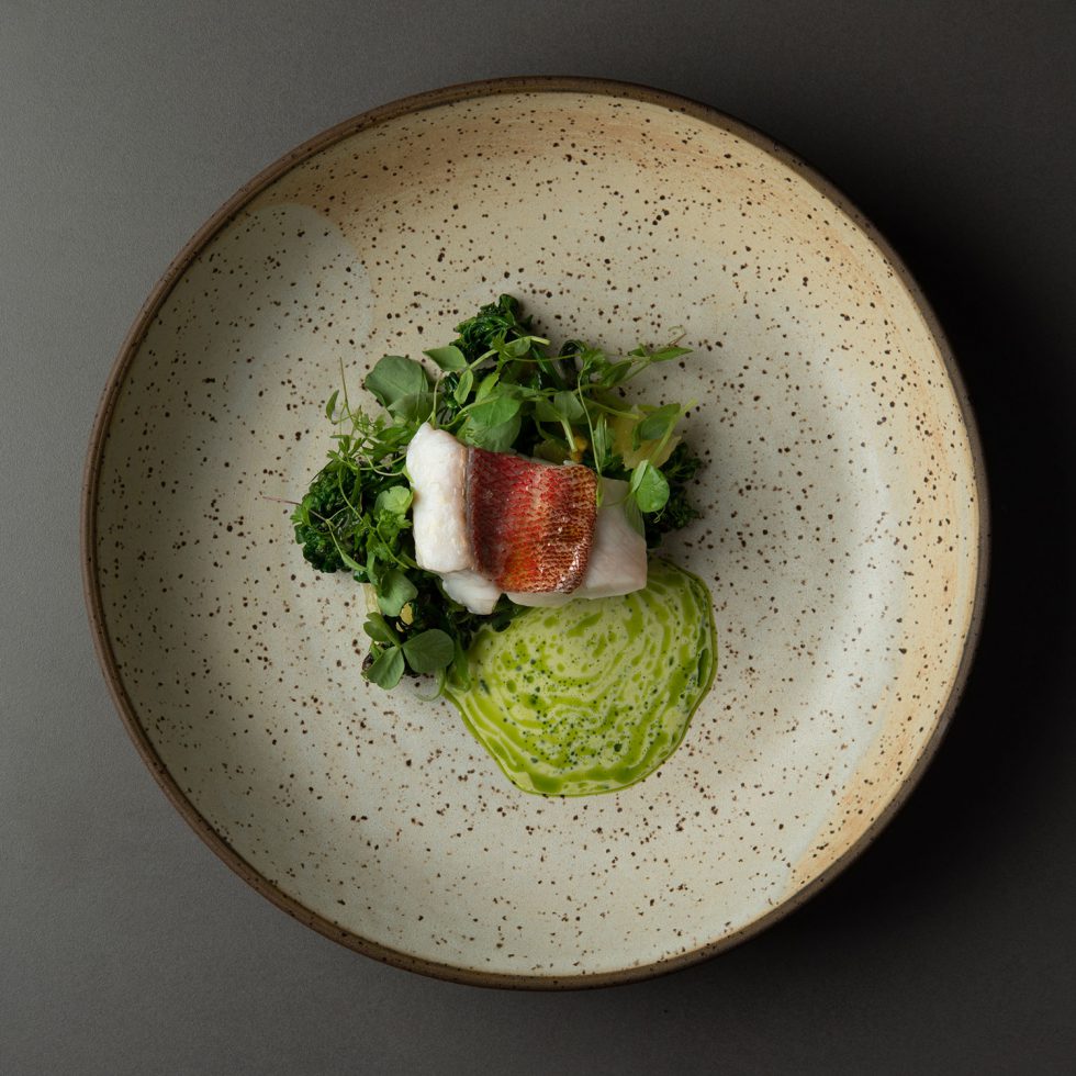 An aerial shot of a plate with a serving of modern cuisine. In the center of the plate is what appears to be white fish on a bed of mixed salad leaves. A sauce is smeared on the plate in an aesthetically pleasing way.